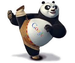 serverin-google-panda